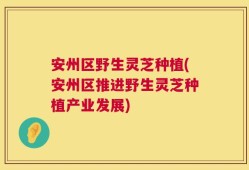 安州区野生灵芝种植(安州区推进野生灵芝种植产业发展)