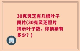 30克灵芝有几根叶子图片(30克灵芝照片揭示叶子数，你猜猜有多少？)