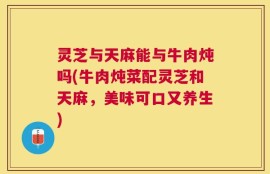 灵芝与天麻能与牛肉炖吗(牛肉炖菜配灵芝和天麻，美味可口又养生)