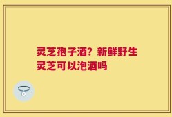 灵芝孢子酒？新鲜野生灵芝可以泡酒吗