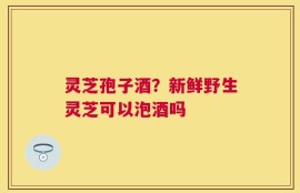 灵芝孢子酒？新鲜野生灵芝可以泡酒吗
