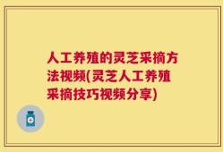 人工养殖的灵芝采摘方法视频(灵芝人工养殖采摘技巧视频分享)