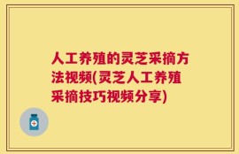 人工养殖的灵芝采摘方法视频(灵芝人工养殖采摘技巧视频分享)