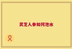 灵芝人参如何泡水