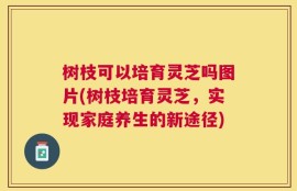 树枝可以培育灵芝吗图片(树枝培育灵芝，实现家庭养生的新途径)