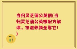 当归灵芝蒲公英根(当归灵芝蒲公英根配方解读，祛湿养颜全靠它！)