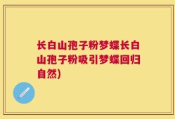 长白山孢子粉梦蝶长白山孢子粉吸引梦蝶回归自然)