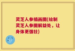 灵芝人参插画图(绘制灵芝人参图解益处，让身体更强壮)
