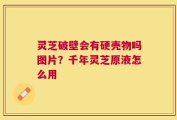 灵芝破壁会有硬壳物吗图片？千年灵芝原液怎么用