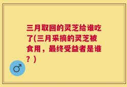 三月取回的灵芝给谁吃了(三月采摘的灵芝被食用，最终受益者是谁？)