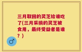 三月取回的灵芝给谁吃了(三月采摘的灵芝被食用，最终受益者是谁？)