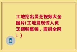 工地挖出灵芝视频大全图片(工地发现惊人灵芝视频集锦，震撼全网！)