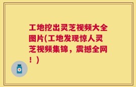 工地挖出灵芝视频大全图片(工地发现惊人灵芝视频集锦，震撼全网！)