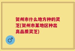 贺州市什么地方种的灵芝(贺州市某地区种出高品质灵芝)