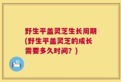 野生平盖灵芝生长周期(野生平盖灵芝的成长需要多久时间？)