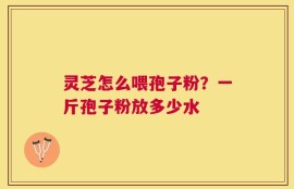 灵芝怎么喂孢子粉？一斤孢子粉放多少水