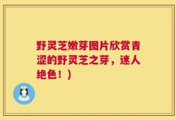 野灵芝嫩芽图片欣赏青涩的野灵芝之芽，迷人绝色！)
