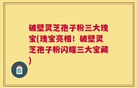 破壁灵芝孢子粉三大瑰宝(瑰宝亮相！破壁灵芝孢子粉闪耀三大宝藏)