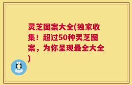 灵芝图案大全(独家收集！超过50种灵芝图案，为你呈现最全大全)