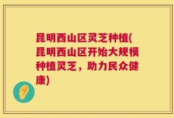 昆明西山区灵芝种植(昆明西山区开始大规模种植灵芝，助力民众健康)