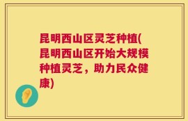 昆明西山区灵芝种植(昆明西山区开始大规模种植灵芝，助力民众健康)