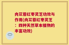 肉苁蓉红枣灵芝功效与作用(肉苁蓉红枣灵芝：四种天然草本植物的丰富功效)