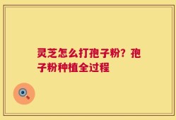 灵芝怎么打孢子粉？孢子粉种植全过程