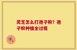 灵芝怎么打孢子粉？孢子粉种植全过程