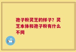 孢子粉灵芝的样子？灵芝本体和孢子粉有什么不同