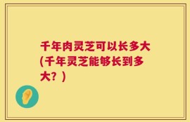 千年肉灵芝可以长多大(千年灵芝能够长到多大？)
