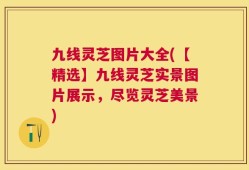 九线灵芝图片大全(【精选】九线灵芝实景图片展示，尽览灵芝美景)