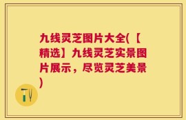 九线灵芝图片大全(【精选】九线灵芝实景图片展示，尽览灵芝美景)