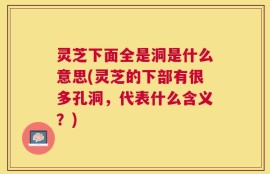 灵芝下面全是洞是什么意思(灵芝的下部有很多孔洞，代表什么含义？)