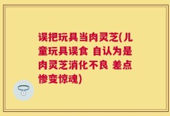 误把玩具当肉灵芝(儿童玩具误食 自认为是肉灵芝消化不良 差点惨变惊魂)