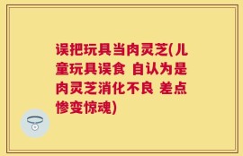 误把玩具当肉灵芝(儿童玩具误食 自认为是肉灵芝消化不良 差点惨变惊魂)