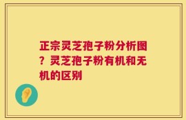 正宗灵芝孢子粉分析图？灵芝孢子粉有机和无机的区别