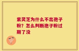 紫灵芝为什么不出孢子粉？怎么判断孢子粉过期了没