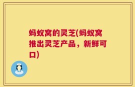 蚂蚁窝的灵芝(蚂蚁窝推出灵芝产品，新鲜可口)