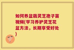 如何养盆栽灵芝孢子苗视频(学习养护灵芝花盆方法，长期享受好处)