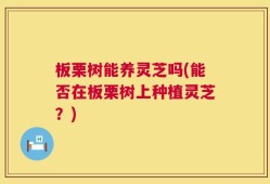 板栗树能养灵芝吗(能否在板栗树上种植灵芝？)