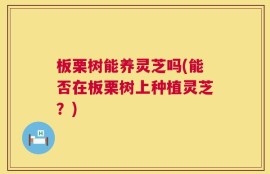 板栗树能养灵芝吗(能否在板栗树上种植灵芝？)