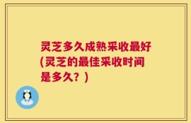 灵芝多久成熟采收最好(灵芝的最佳采收时间是多久？)