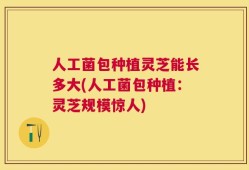 人工菌包种植灵芝能长多大(人工菌包种植：灵芝规模惊人)