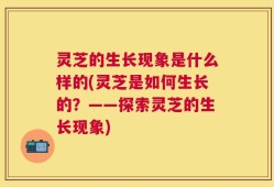 灵芝的生长现象是什么样的(灵芝是如何生长的？——探索灵芝的生长现象)
