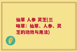仙草 人参 灵芝(三味草：仙草、人参、灵芝的功效与用法)