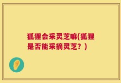 狐狸会采灵芝嘛(狐狸是否能采摘灵芝？)