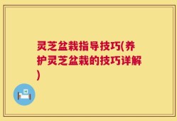 灵芝盆栽指导技巧(养护灵芝盆栽的技巧详解)