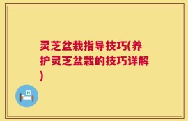 灵芝盆栽指导技巧(养护灵芝盆栽的技巧详解)