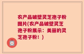 农产品破壁灵芝孢子粉图片(农产品破壁灵芝孢子粉展示：美丽的灵芝孢子粉！)