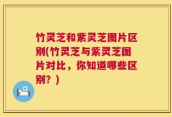 竹灵芝和紫灵芝图片区别(竹灵芝与紫灵芝图片对比，你知道哪些区别？)